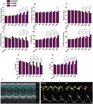 Dynamic changes in cardiac morphology, function, and diffuse myocardial fibrosis duration of diabetes in type 1 and type 2 diabetic mice models using 7.0 T CMR and echocardiography